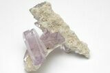 Amethyst Crystal Cluster - Las Vigas, Mexico #204531-1